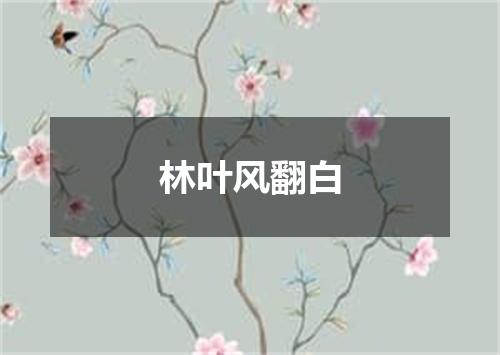 林叶风翻白