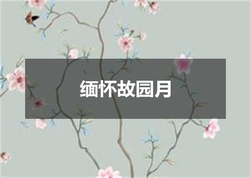 缅怀故园月