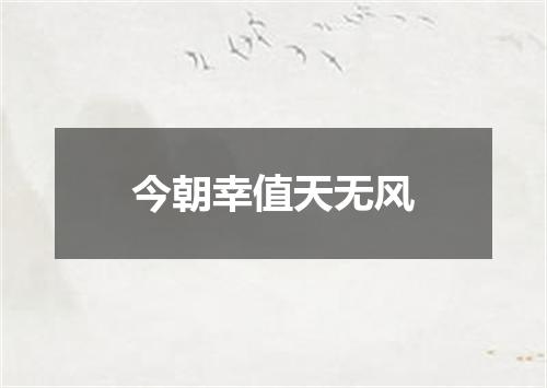 今朝幸值天无风