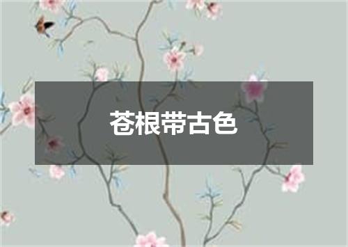 苍根带古色