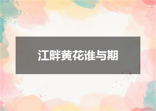 江畔黄花谁与期