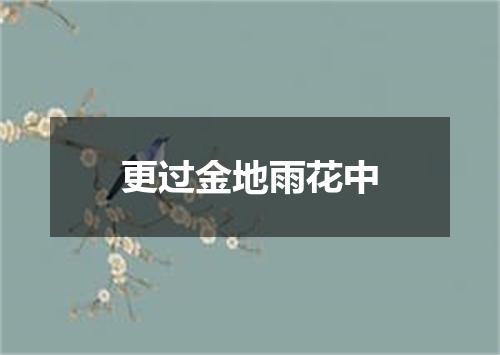 更过金地雨花中