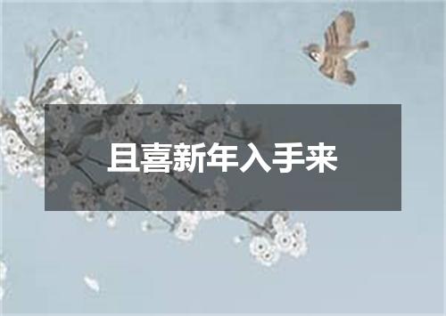 且喜新年入手来