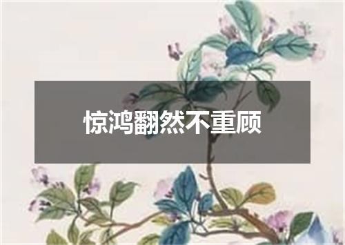 惊鸿翻然不重顾