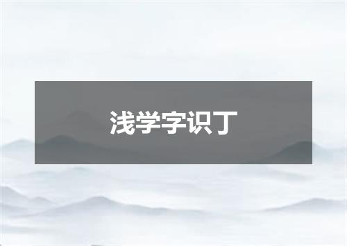 浅学字识丁