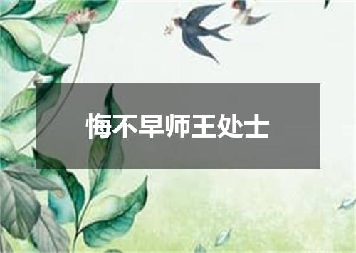 悔不早师王处士