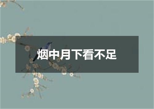 烟中月下看不足