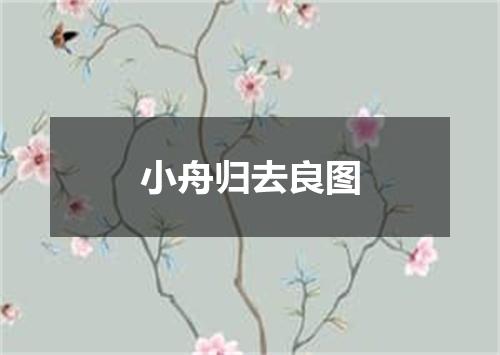 小舟归去良图