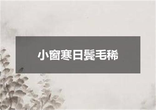 小窗寒日鬓毛稀