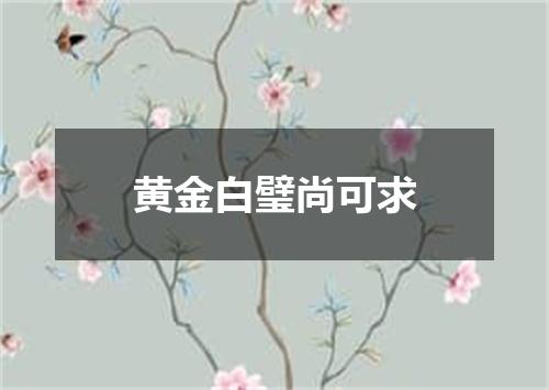 黄金白璧尚可求