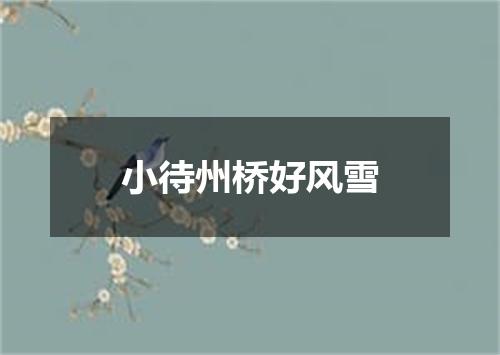 小待州桥好风雪