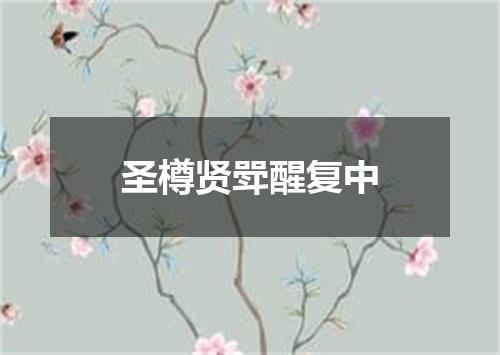 圣樽贤斝醒复中