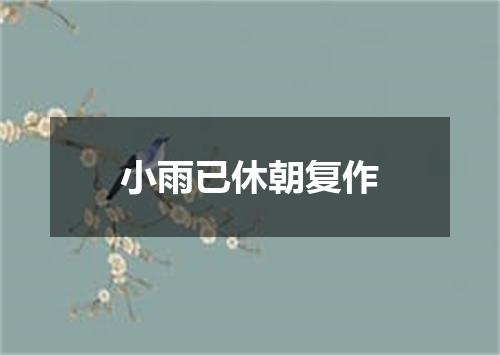 小雨已休朝复作