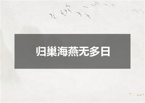 归巢海燕无多日