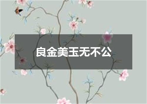 良金美玉无不公