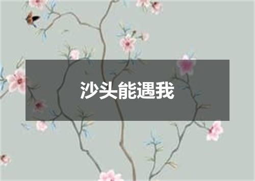 沙头能遇我