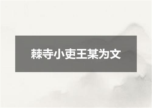 棘寺小吏王某为文