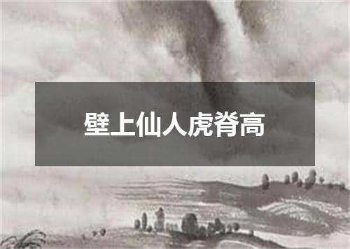 壁上仙人虎脊高