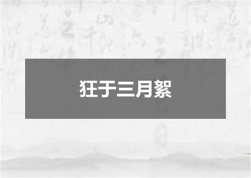 狂于三月絮