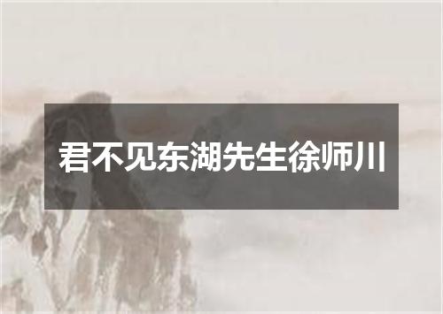 君不见东湖先生徐师川