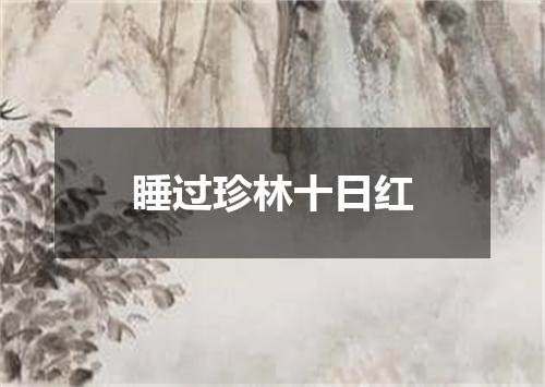 睡过珍林十日红