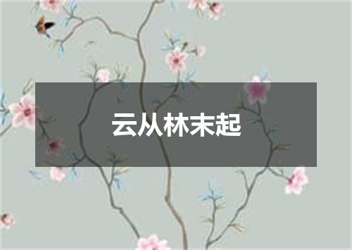 云从林末起