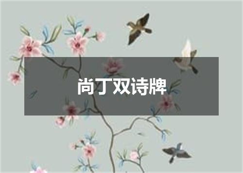 尚丁双诗牌