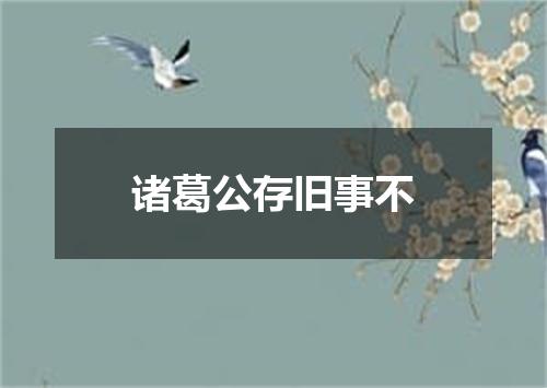 诸葛公存旧事不