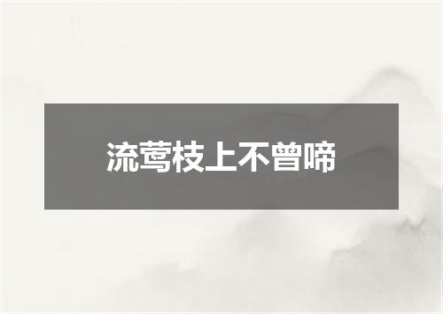 流莺枝上不曾啼