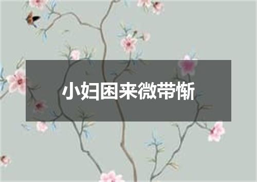 小妇困来微带惭