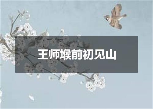 王师堠前初见山