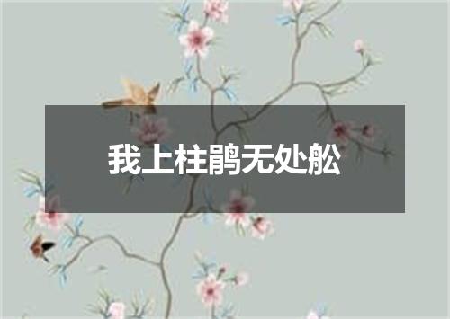 我上柱鹃无处舩