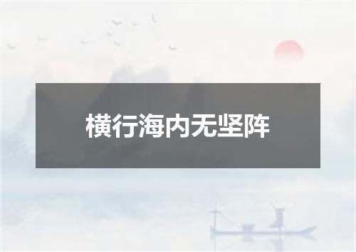 横行海内无坚阵