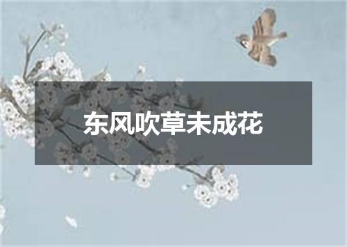 东风吹草未成花