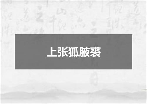 上张狐腋裘