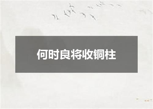 何时良将收铜柱