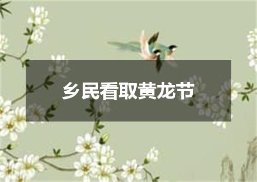 乡民看取黄龙节