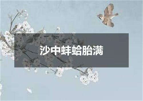 沙中蚌蛤胎满