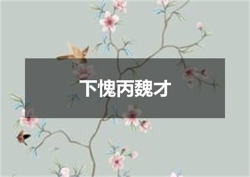 下愧丙魏才