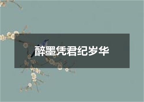 醉墨凭君纪岁华