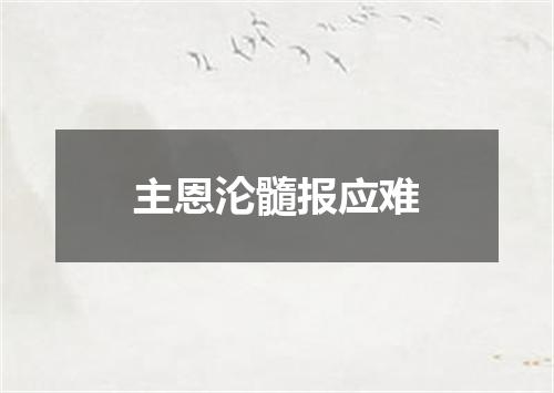 主恩沦髓报应难