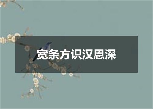 宽条方识汉恩深