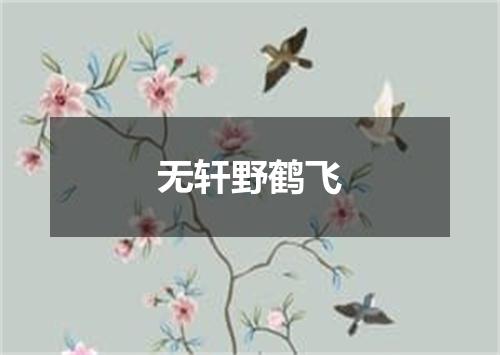 无轩野鹤飞