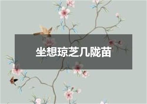 坐想琼芝几陇苗