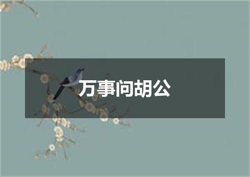 万事问胡公