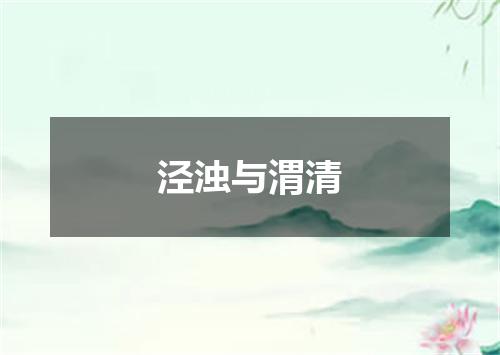 泾浊与渭清