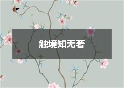 触境知无著