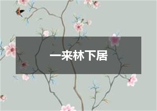 一来林下居