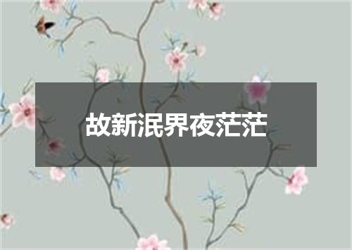 故新泯界夜茫茫