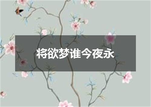 将欲梦谁今夜永